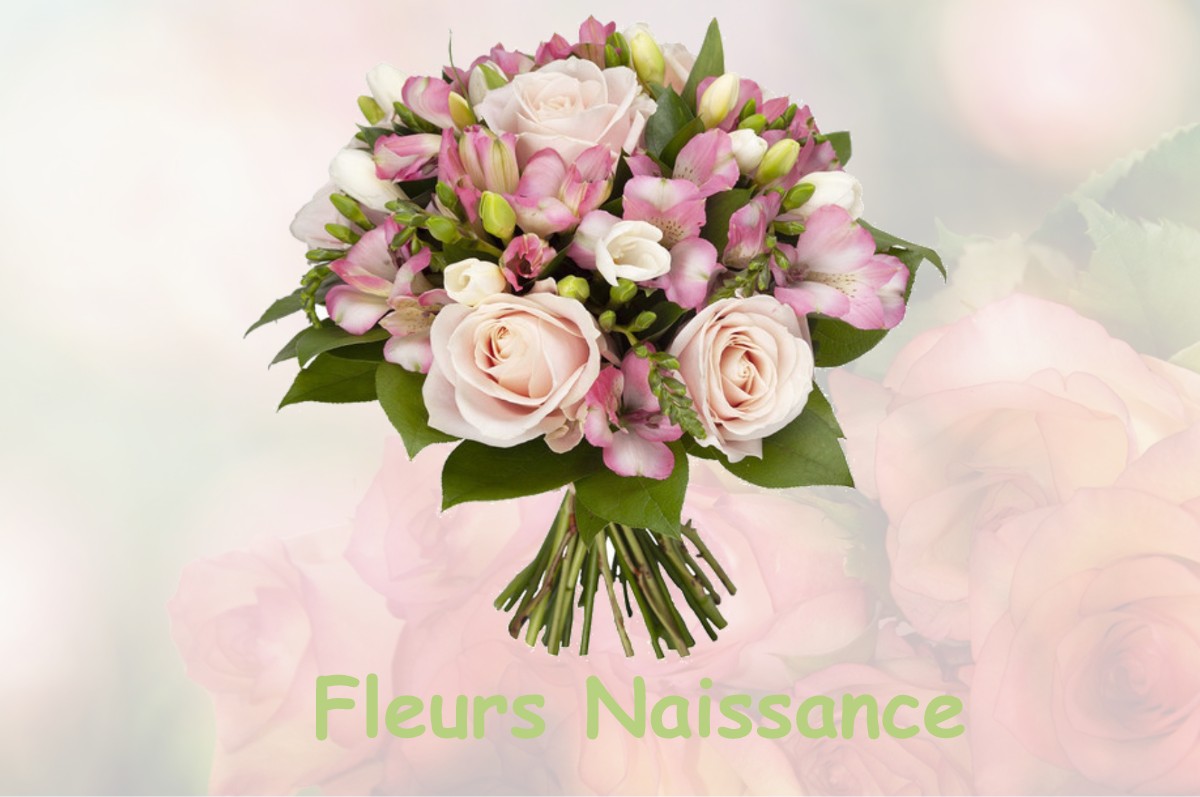 fleurs naissance SAINT-PIERRE-LA-COUR
